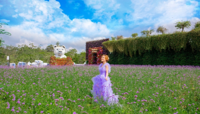 “Thả hồn” giữa cánh đồng hoa rực rỡ một kiểu chụp hình đẹp ở Đà Lạt bạn nên thử
