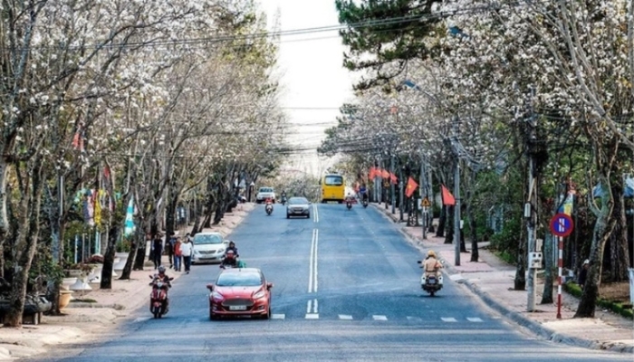 Đường Trần Phú