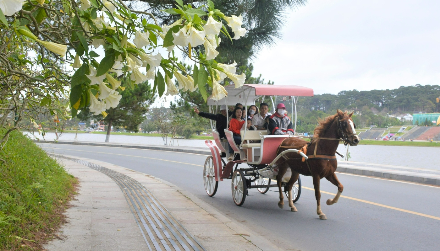 Đi xe ngựa tham quan vòng quanh hồ Xuân Hương