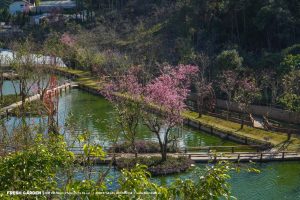 Khu du lịch Đà Lạt Fresh Garden