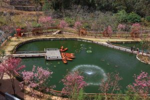 Khu du lịch Đà Lạt Fresh Garden